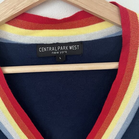 Central Park West Deep V Neck Rainbow Trim Sweater sz L Preppy Academia 90s Y2k - Picture 4 of 8